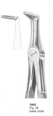  Fig. 45 lower roots 